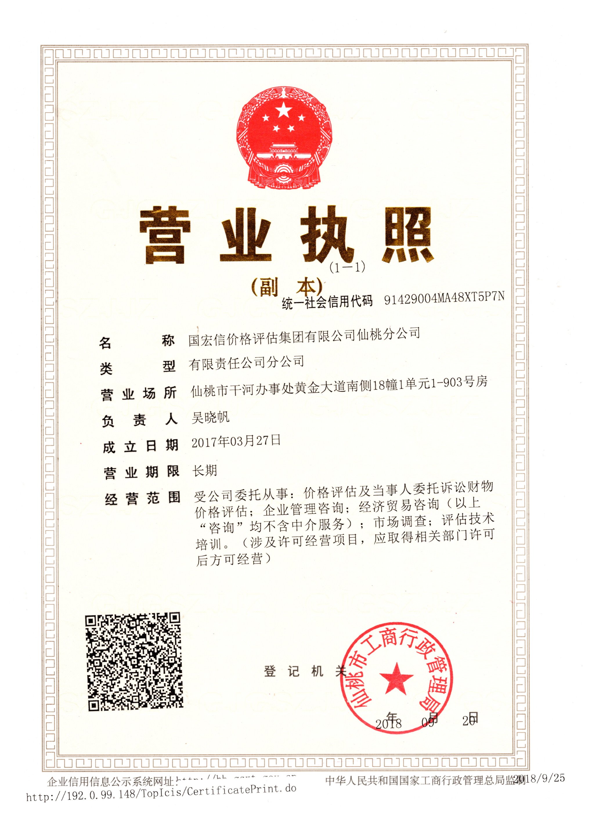 国宏信集团经济贸易咨询业务的前景与挑战分析